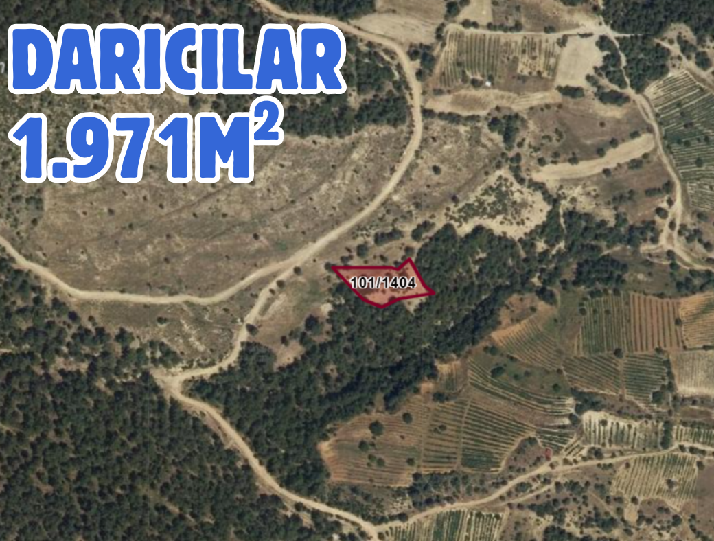 Fotoğraf